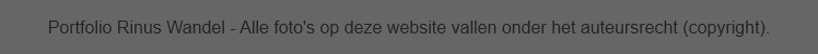 Portfolio Rinus Wandel - Alle foto's op deze website vallen onder het auteursrecht (copyright).